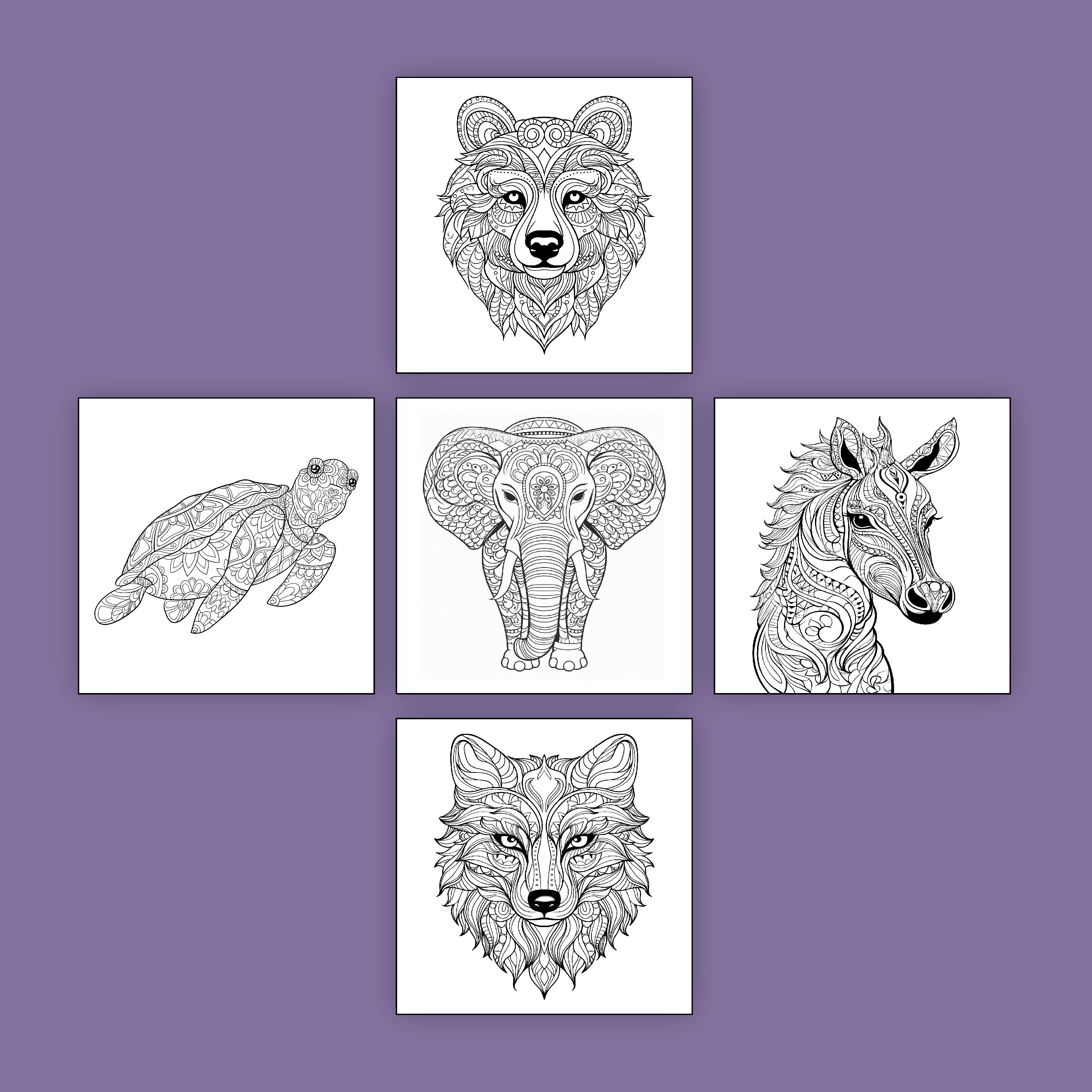 Wild Mandalas (5-Pack)