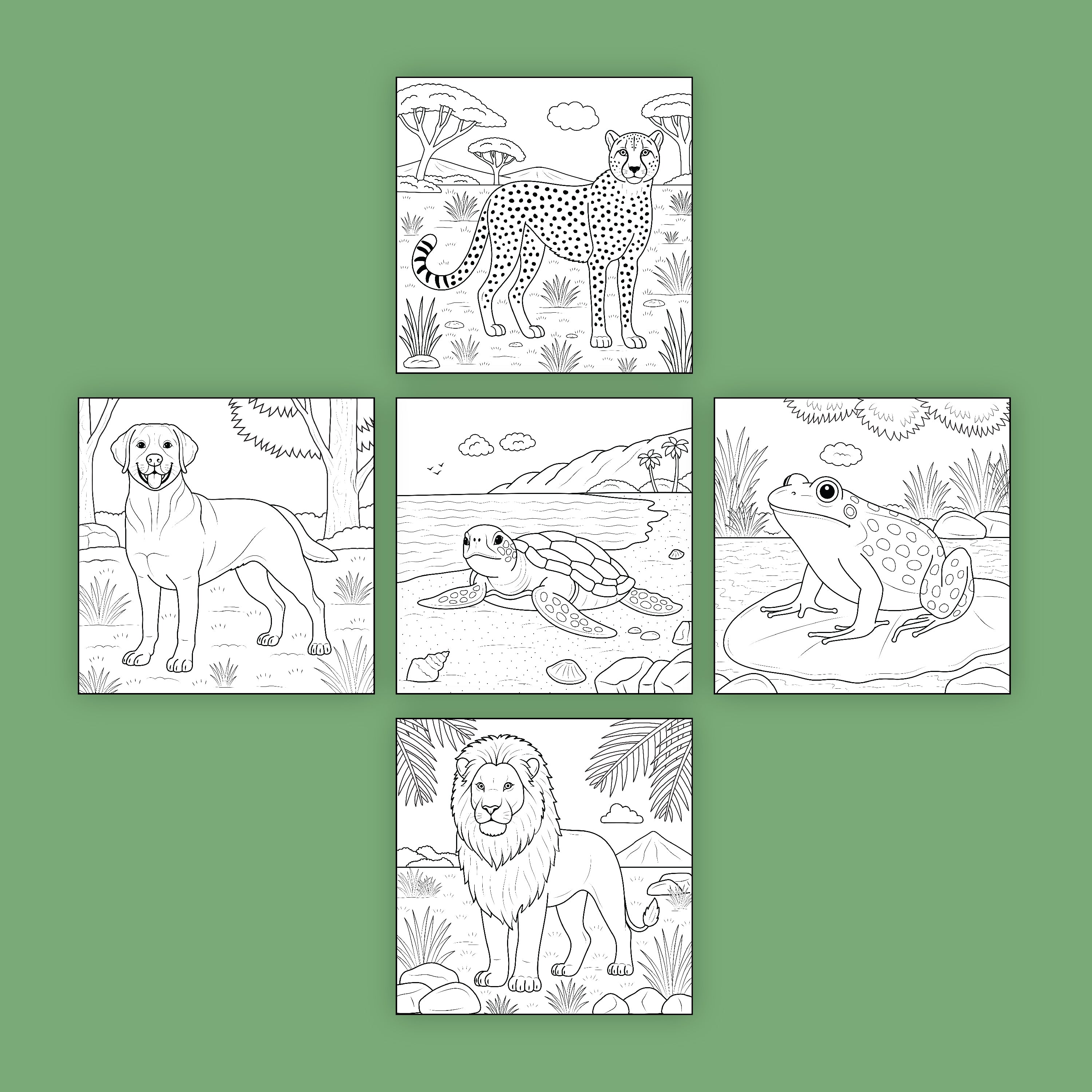 Animal Kingdom (5-Pack)