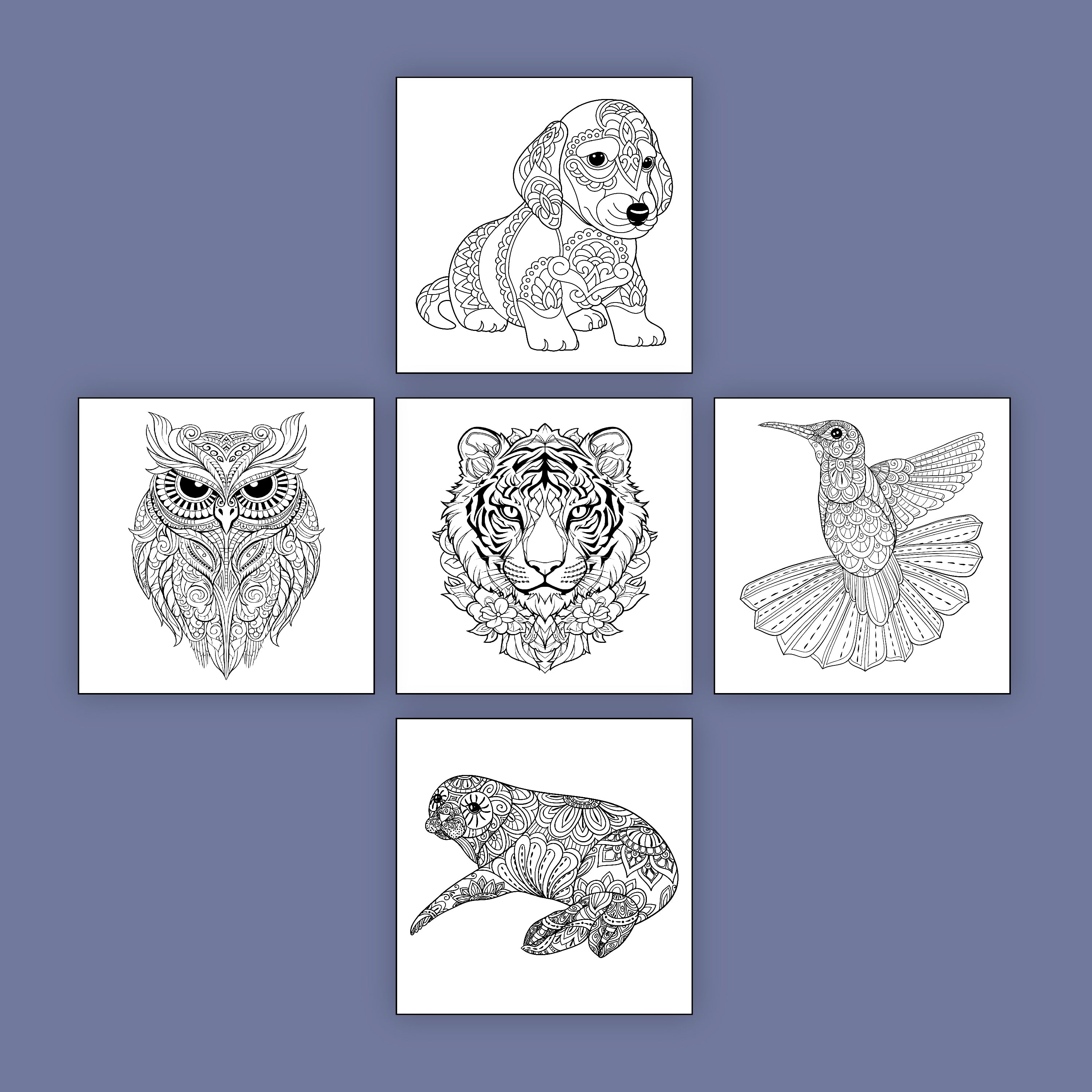 Enchanted Mandalas (5-Pack)